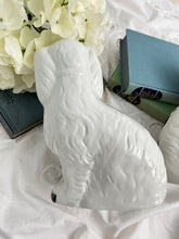 画像をギャラリービューアに読み込む, 【バーレイ】スタッフォードシャードッグ ペア