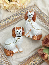 画像をギャラリービューアに読み込む, レア!【スタッフォードシャードッグ】 ペア