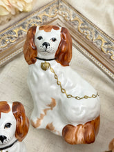 画像をギャラリービューアに読み込む, レア!【スタッフォードシャードッグ】 ペア