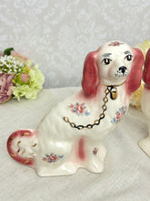 画像をギャラリービューアに読み込む, 超レア!スタッフォードシャードッグ ペア