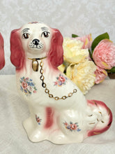 画像をギャラリービューアに読み込む, 超レア!スタッフォードシャードッグ ペア