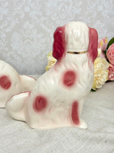 画像をギャラリービューアに読み込む, 超レア!スタッフォードシャードッグ ペア