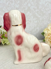 画像をギャラリービューアに読み込む, 超レア!スタッフォードシャードッグ ペア