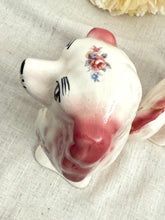 画像をギャラリービューアに読み込む, 超レア!スタッフォードシャードッグ ペア