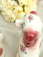 画像をギャラリービューアに読み込む, 超レア!スタッフォードシャードッグ ペア