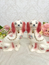 画像をギャラリービューアに読み込む, 超レア!スタッフォードシャードッグ ペア