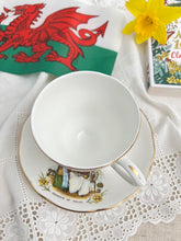 画像をギャラリービューアに読み込む, 【St David's Day 特別企画】ウェルシュレディ ティーカップ&ソーサー