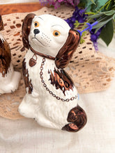 画像をギャラリービューアに読み込む, レア!【スタッフォードシャードッグ】 ペア