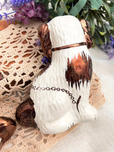 画像をギャラリービューアに読み込む, レア!【スタッフォードシャードッグ】 ペア