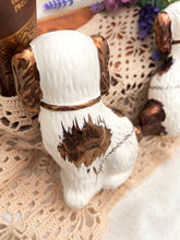 画像をギャラリービューアに読み込む, レア!【スタッフォードシャードッグ】 ペア