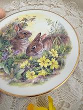 画像をギャラリービューアに読み込む, 【ニコラスジョン】うさぎ ヴィンテージ絵皿