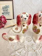 画像をギャラリービューアに読み込む, 超レア!スタッフォードシャードッグ ペア