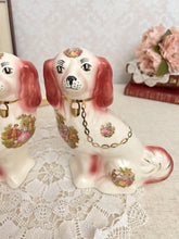 画像をギャラリービューアに読み込む, 超レア!スタッフォードシャードッグ ペア