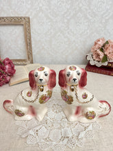 画像をギャラリービューアに読み込む, 超レア!スタッフォードシャードッグ ペア