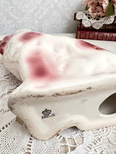 画像をギャラリービューアに読み込む, 超レア!スタッフォードシャードッグ ペア